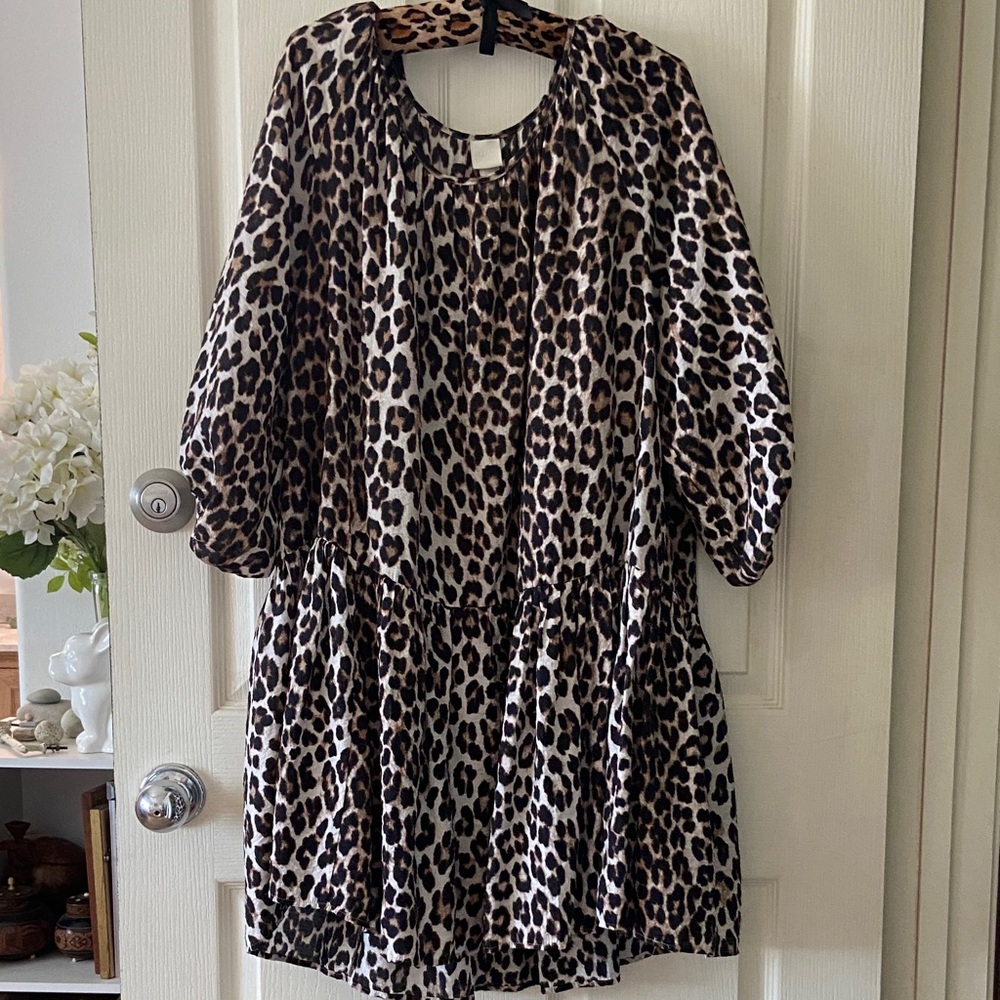 H&M Animal Print Dress